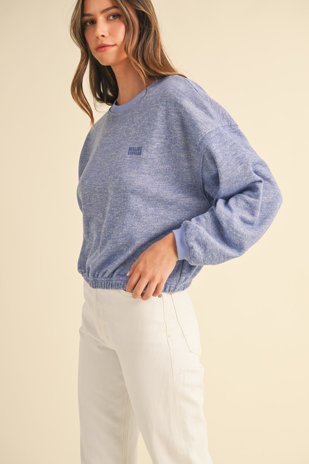 Mable Round Neck Letter Embroidery Crop Sweatshirt - Sweatshirt - Blue Purple - Bella Bourget