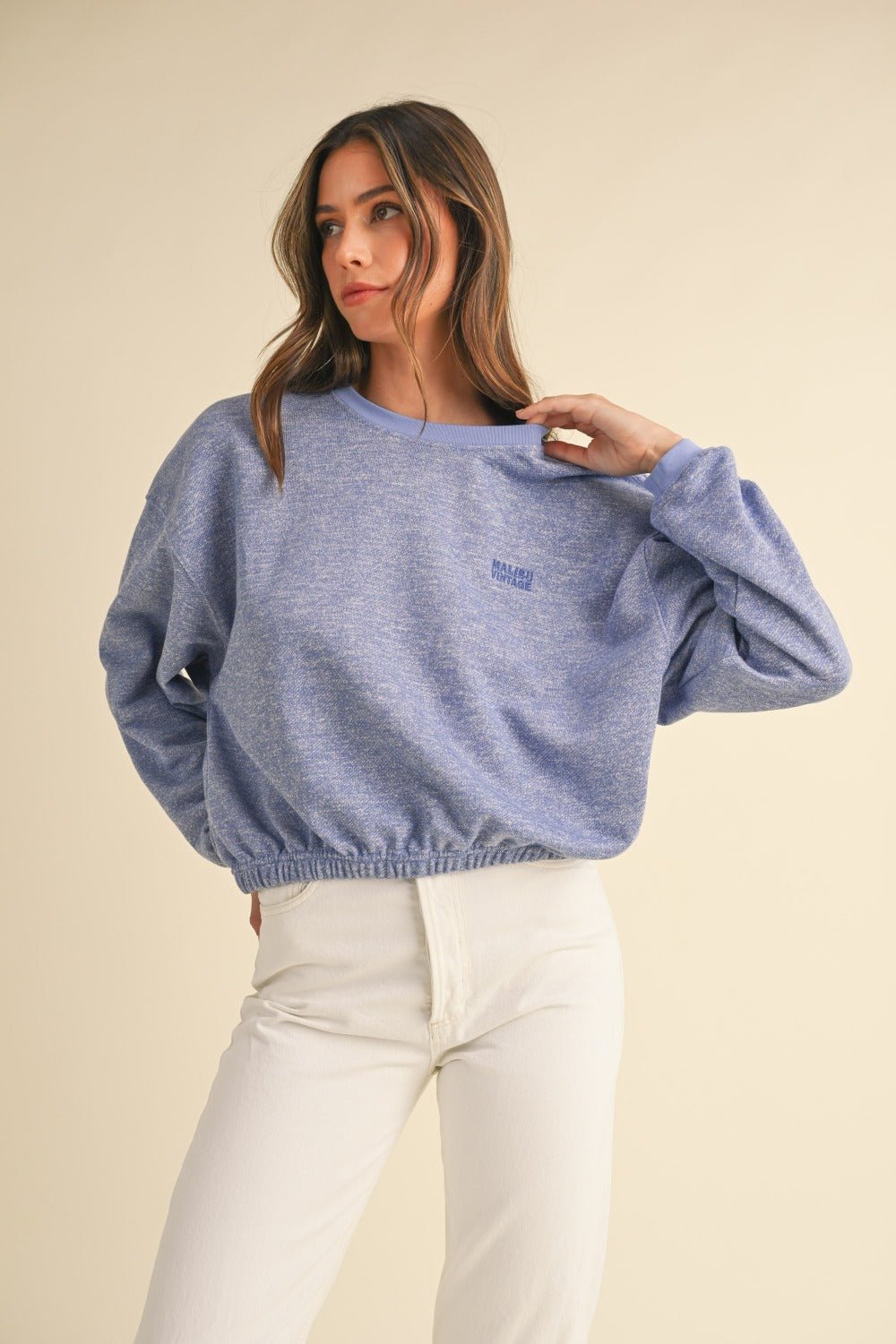 Mable Round Neck Letter Embroidery Crop Sweatshirt - Sweatshirt - Blue Purple - Bella Bourget