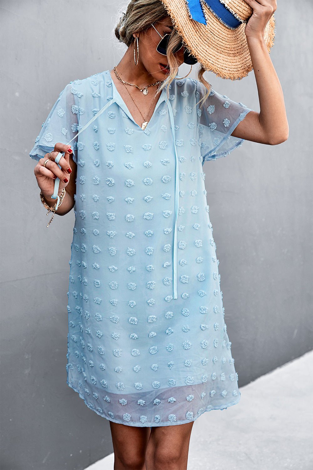 Swiss Dot Tie Neck Mini Dress - Dress - Blue - Bella Bourget